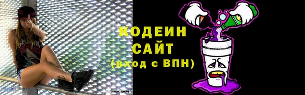 прущие грибы Гусь-Хрустальный
