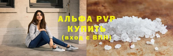 прущие грибы Гусь-Хрустальный