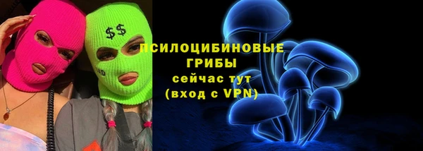 соль ск Дмитров