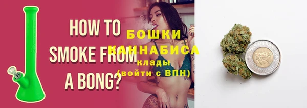 ГАЛЛЮЦИНОГЕННЫЕ ГРИБЫ Дмитриев