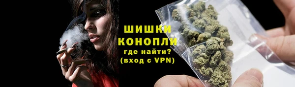 ГАЛЛЮЦИНОГЕННЫЕ ГРИБЫ Дмитриев