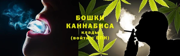 соль ск Дмитров