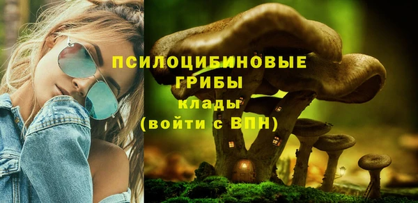 кокаин Гусев