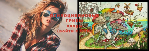 прущие грибы Гусь-Хрустальный