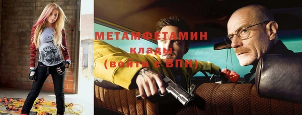 прущие грибы Гусь-Хрустальный