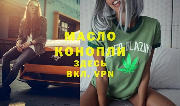 ГАЛЛЮЦИНОГЕННЫЕ ГРИБЫ Дмитриев