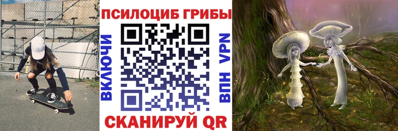Купить  Сорочинск  Псилоцибиновые грибы MAGIC MUSHROOMS 