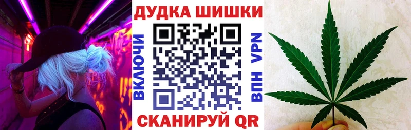 Купить где  Сорочинск  Конопля гибрид 